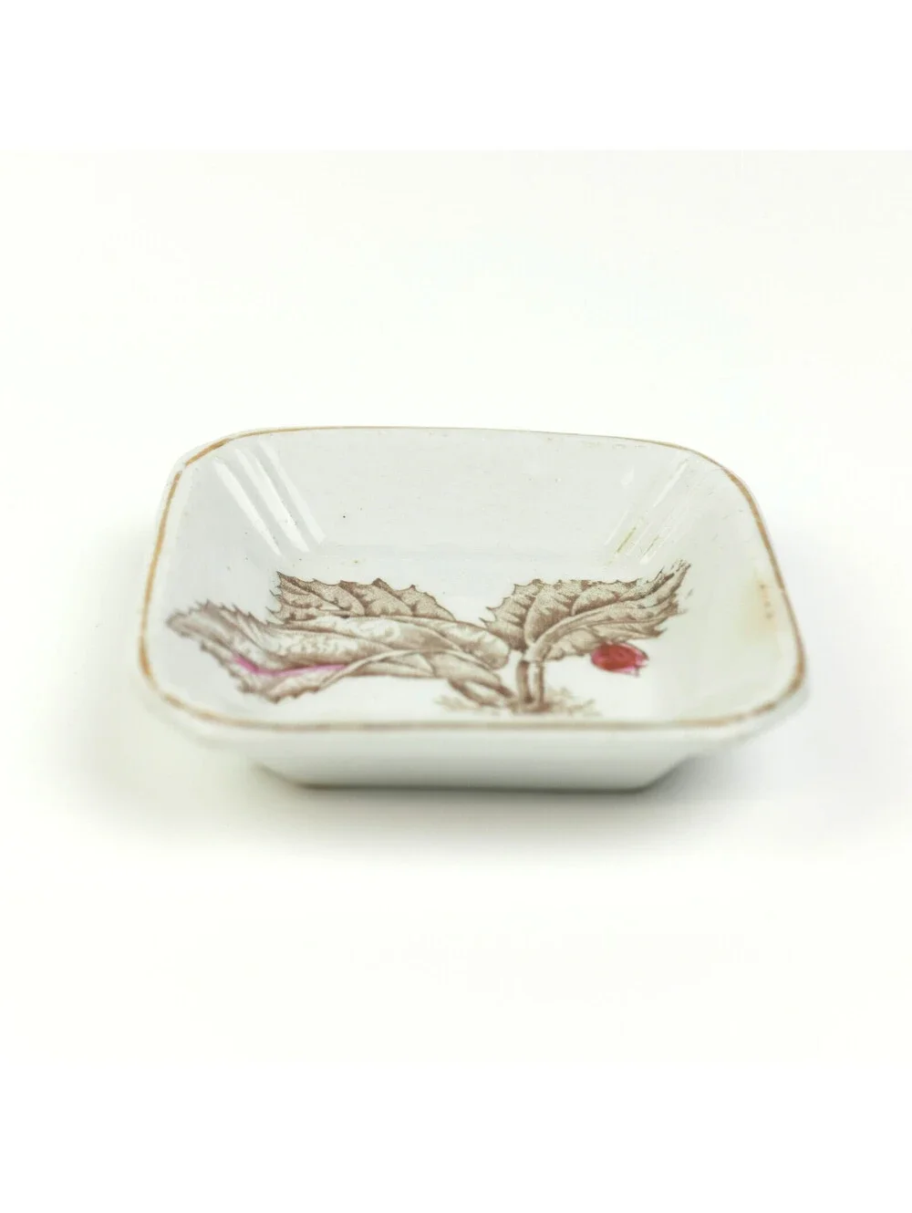 Antique Alfred Meakin Royal Ironstone Botanical Butter Pat Square Dish 1890s